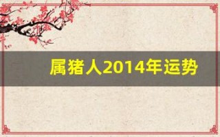 属猪人2014年运势(属猪人2014年运势如何)