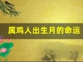 属鸡人出生月的命运(生肖鸡出生月命运)