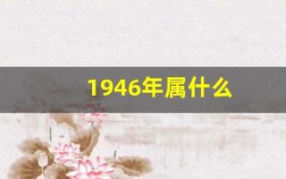 1946年属什么(1947年属什么)