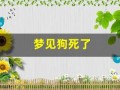 梦见狗死了(梦见狗死了又活过来是什么意思)