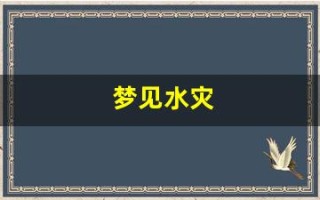 梦见水灾(梦见水灾所有地方都被淹没了)