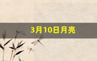3月10日月亮(10月3日月亮是什么样的)