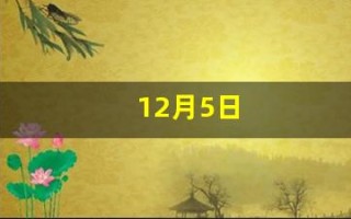 12月5日(12月5日什么节日)