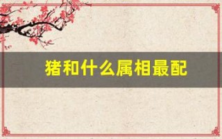 猪和什么属相最配(生肖猪和什么属相最配)