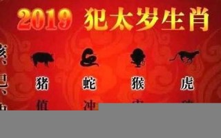 属蛇今年运程(属蛇今年运程好吗)