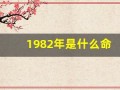 1982年是什么命(1982年是什么命格)