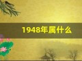 1948年属什么(1948年的鼠的寿终年龄)