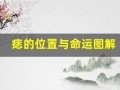 痣的位置与命运图解(手背上的痣的位置与命运图解)