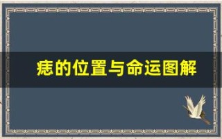 痣的位置与命运图解(手背上的痣的位置与命运图解)