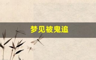 梦见被鬼追(周公解梦梦见被鬼追)