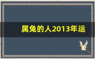 属兔的人2013年运程大全及破解(2013年属兔的是什么命)
