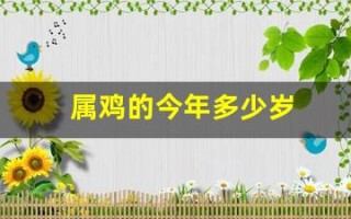 属鸡的今年多少岁(属兔的今年多少岁)