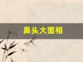 鼻头大面相(鼻头大面相男)