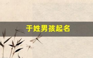 于姓男孩起名(于姓男孩起名于泽什么)