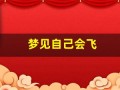 梦见自己会飞(还可以带别人飞)