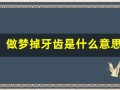 做梦掉牙齿是什么意思(经常做梦掉牙齿是什么意思)