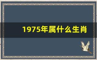 1975年属什么生肖(1983年属什么生肖)