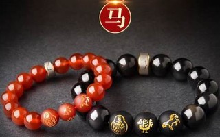 2009年运程(2009年2021运势)
