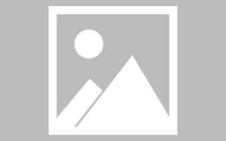 周公解梦大全免费版查询(周公解梦大全免费版查询周公解梦女人志)