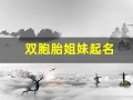 双胞胎姐妹起名(双胞胎姐妹起名四字成语abac)