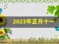 2023年正月十一(2023年正月十一美女送祝福图片)