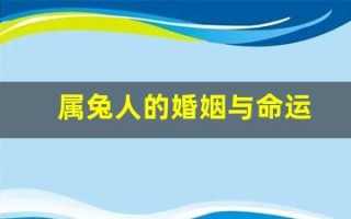 属兔人的婚姻与命运(属兔人的婚姻命运如何女)