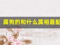 属狗的和什么属相最配(属虎的和什么属相最配)
