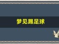 梦见踢足球(梦见踢足球是什么预兆周公解梦)