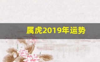 属虎2019年运势(生肖虎2019年运势大全)