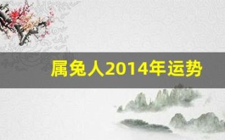 属兔人2014年运势(属兔人2014年运势如何)