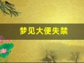 梦见大便失禁(梦见大便失禁拉在裤子里)