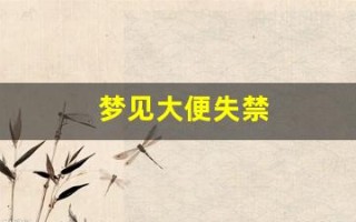 梦见大便失禁(梦见大便失禁拉在裤子里)