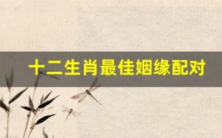 十二生肖最佳姻缘配对(十二生肖最佳姻缘配对牛)