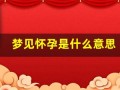 梦见怀孕是什么意思(学生梦见自己怀孕暗示什么)