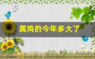 属鸡的今年多大了(属狗的今年多大了)