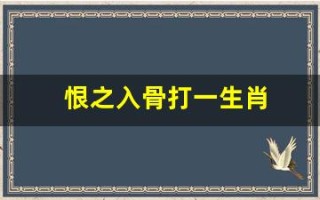 恨之入骨打一生肖(恨之入骨打个生肖)
