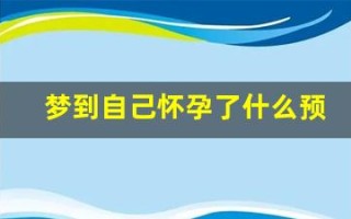 梦到自己怀孕了什么预兆(梦到自己怀孕了什么预兆已婚女人)