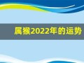 属猴2022年的运势(属猴2022年的运势麦玲玲)