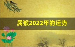 属猴2022年的运势(属猴2024运势)