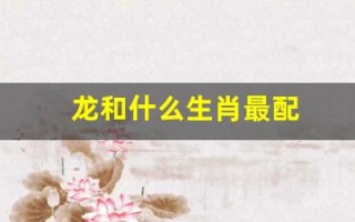 龙和什么生肖最配(00年属龙和什么生肖最配)