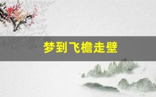 梦到飞檐走壁(梦到飞檐走壁武功很厉害吗)
