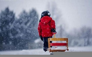梦见下雪了是什么预兆(梦见下雪了意味着什么)