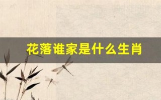 花落谁家是什么生肖(花落谁家打一数字)