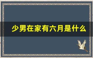 少男在家有六月是什么生肖(少男在家有六月是什么意思)