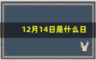 12月14日是什么日子啊(12月14日是什么节日日子)