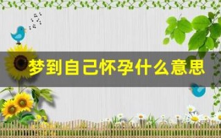 梦到自己怀孕什么意思(发梦梦到自己怀孕什么意思)