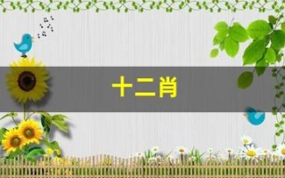 十二肖(十二肖排行表)