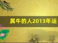 属牛的人2013年运程(属牛的人2013年多少岁)