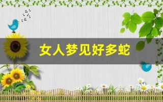 女人梦见好多蛇(女人梦见自己被蛇缠身是什么意思)