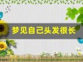 梦见自己头发很长(梦见自己头发很长是什么兆头)